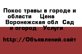 Покос травы в городе и области. › Цена ­ 200 - Воронежская обл. Сад и огород » Услуги   